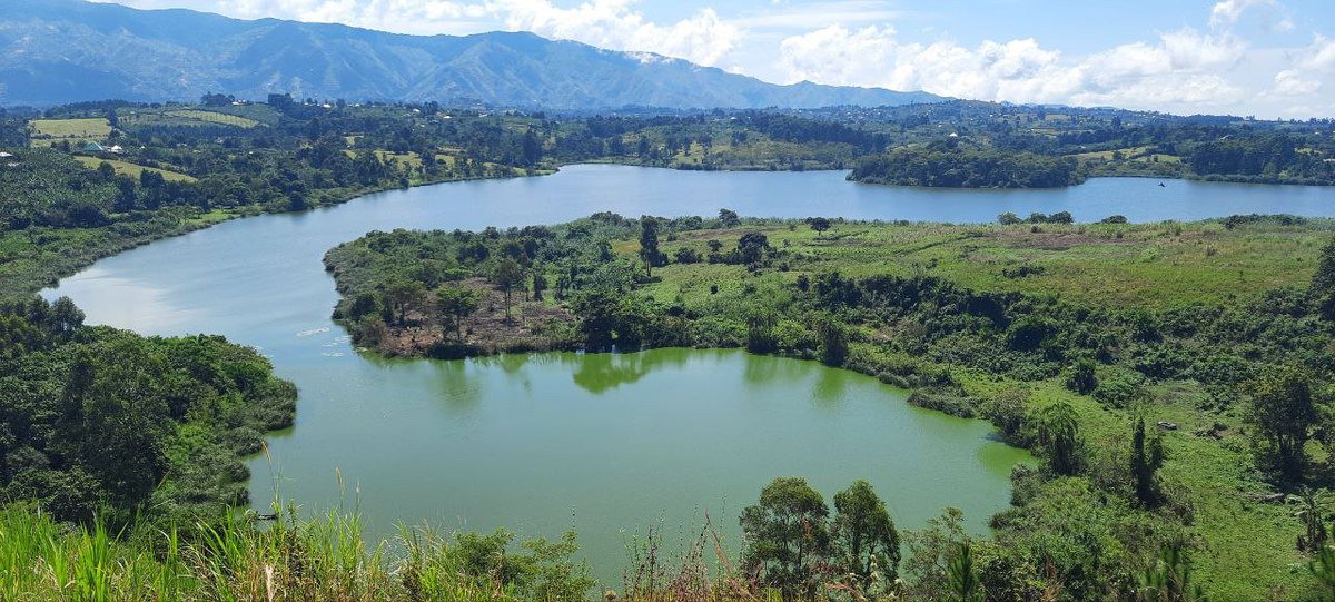 Mountains of the Moon University (@mmu_uganda) on Twitter photo With four crater lakes around our campus and a vast acres of natural green vegetation on University land, <a href="/MMU_Uganda/">Mountains of the Moon University</a> provides a unique and optimal study experience to the students.
#Serenity #Beauty #HeightsForProgress With four crater lakes around our campus and a vast acres of natural green vegetation on University land, <a href="/MMU_Uganda/">Mountains of the Moon University</a> provides a unique and optimal study experience to the students.
#Serenity #Beauty #HeightsForProgress
