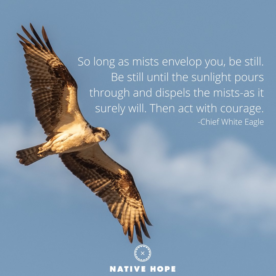 ProjNativeHope's tweet photo. #WidsomWednesday #WednesdayWisdom #Wisdom #NativeWisdom #Wednesday #NativeHope #Native #NativeAmerican #NativePride #NativeProverb #ChiefWhiteEagle #Courage https://t.co/MZhyg7QZfY