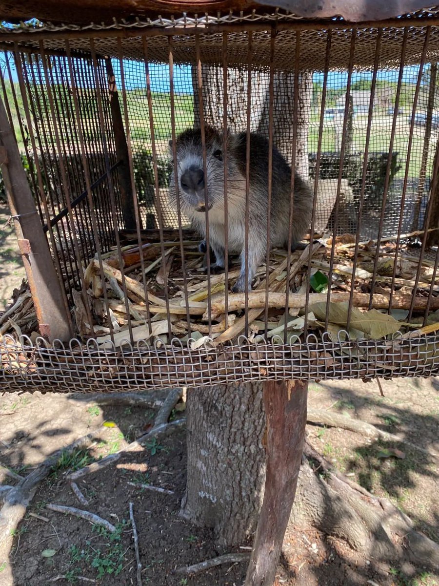 Surround ﾠyourself ​with ᱸwomen ᠎who ⳿lift ᠍you up, ﾞnot ‍tear ﾠyou down. ﾞTogether, ﾞwe ⬝rise! ﾞ💪👭 ﾠ#GirlPower #SupportEachOther