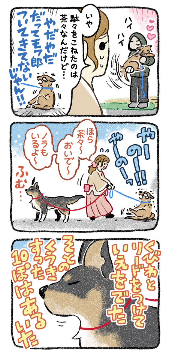 ▼36話 ピンポーン 