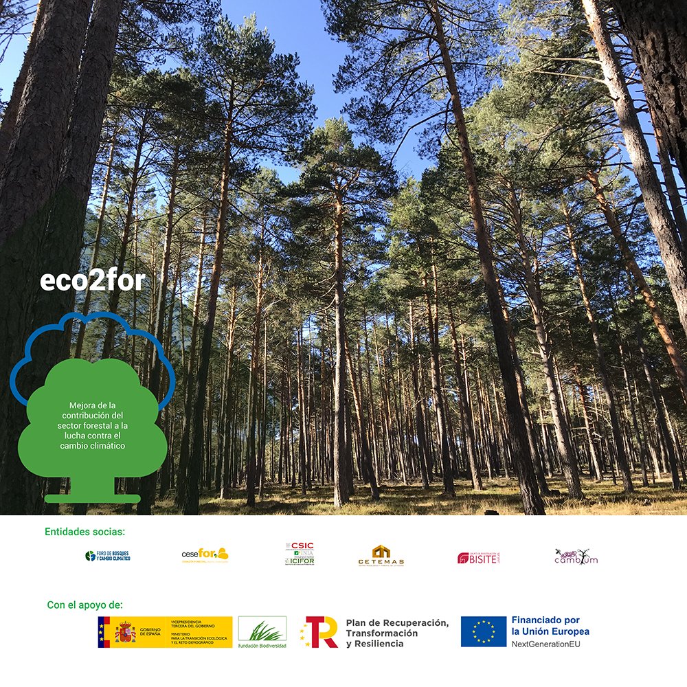 FCesefor's tweet image. 💡¿Conoces el proyecto #eco2for, de cuyo consorcio somos integrantes, junto con otras 5 entidades? 

📱Sigue la cuenta @eco2for_fb  para estar al corriente de todas nuestras propuestas y avances.

Con el apoyo de @FBiodiversidad @P_Recuperacion #ProyectosPRTR #NextGenerationEU