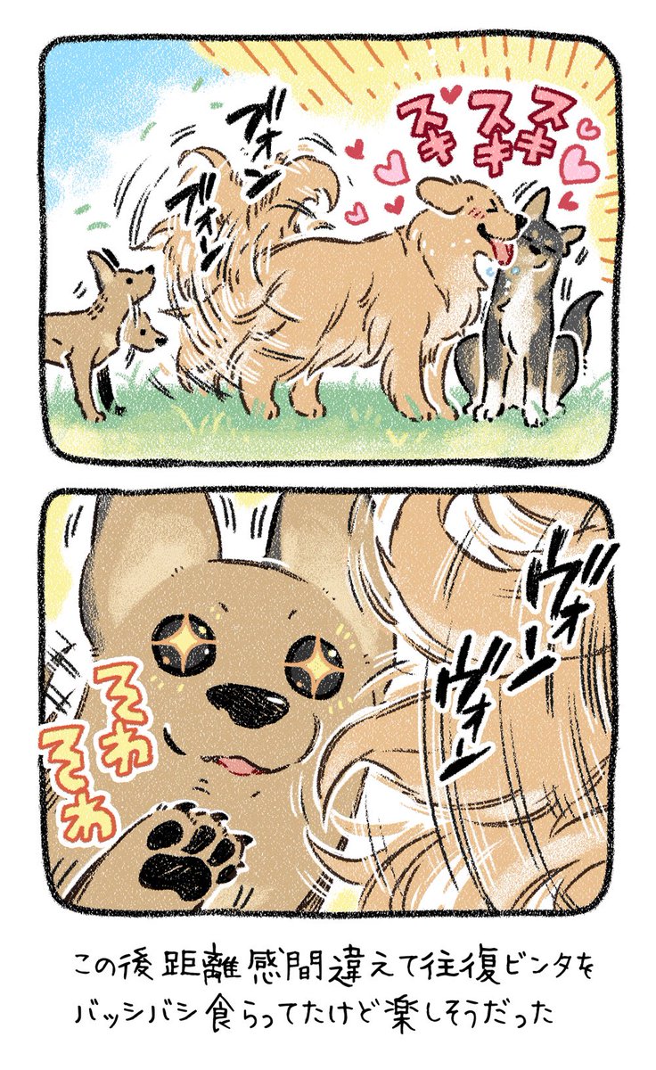 ▼38話 ゴルくん 