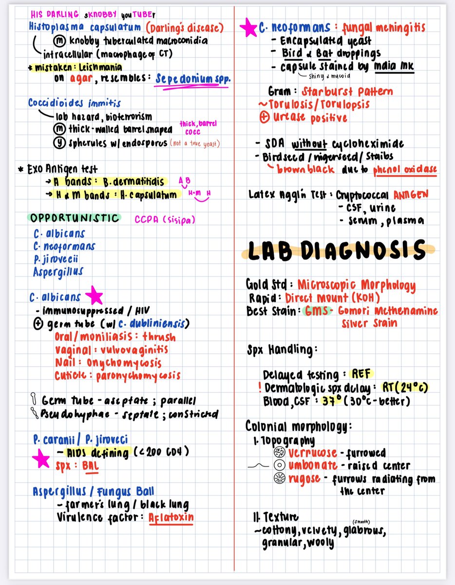 ureasepos's tweet photo. Sharing my MycoViro clutch notes that I used for the boards 🤓

feel free to correct me if ever may mali, thank youuu 🙇🏻‍♀️ https://t.co/VOG1tc2oqH