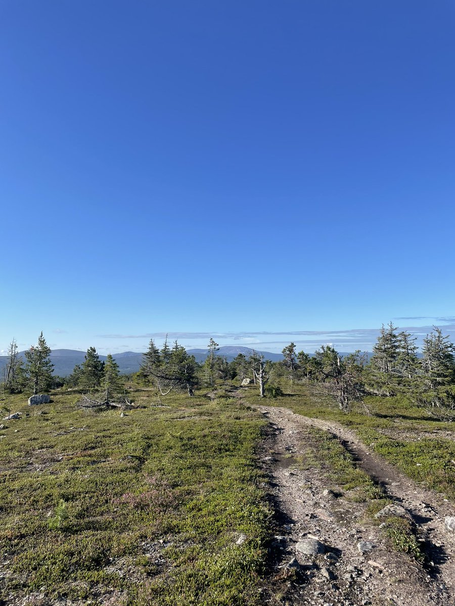 Viime viikonlopun NUTS Ylläs - Pallas 100 km oli huikea reissu! Yöttömän yön aurinko helli ja polkuja pitkin noustiin ylös ja alas kohti Yllästä. Olo on kiitollinen ja nöyrä siitä, että tällaista saa ja pystyy tekemään.