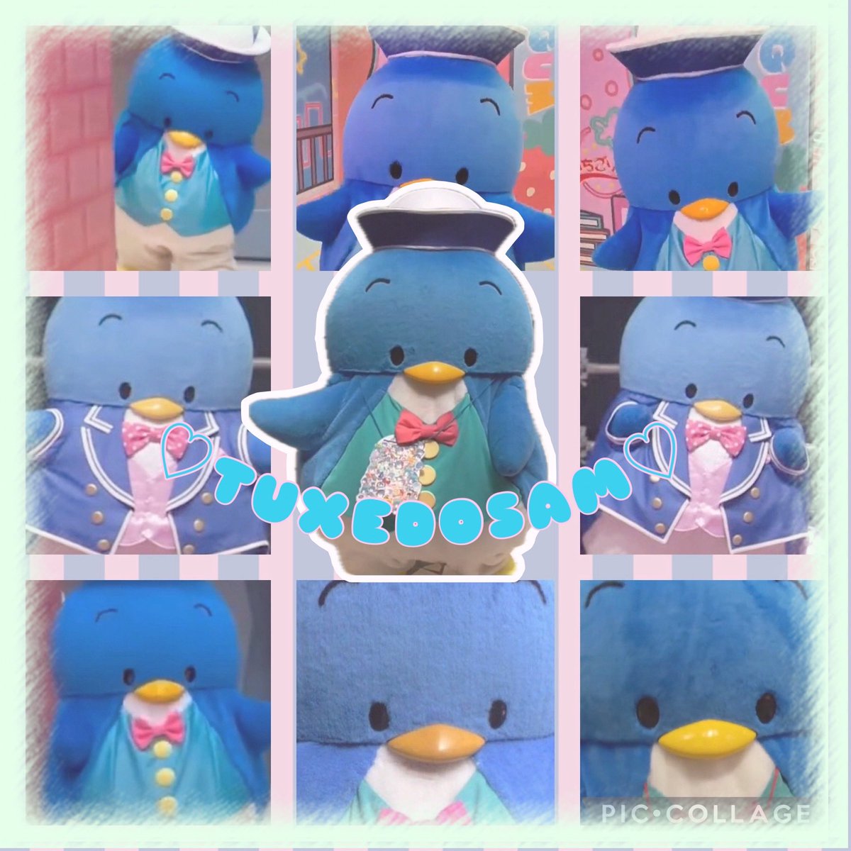 かっきー (@k1105smilehappy) / Posts / X