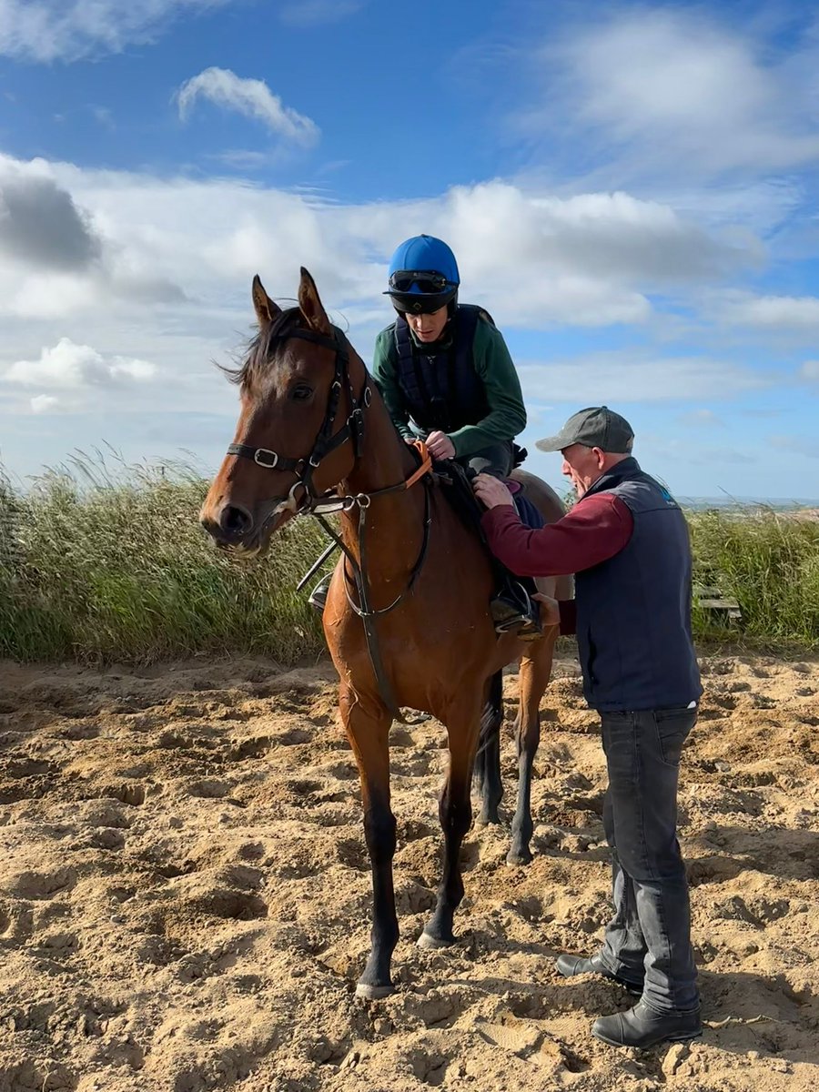 Our final featured rider for the Corinthian Challenge is 25 yr old Ryan Sands. Ryan's family delved into racehorse ownership a few years ago, achieving notable success through Bronsan racing syndicate.  You can support Ryan here :
irishinjuredjockeys.enthuse.com/pf/ryan-sands