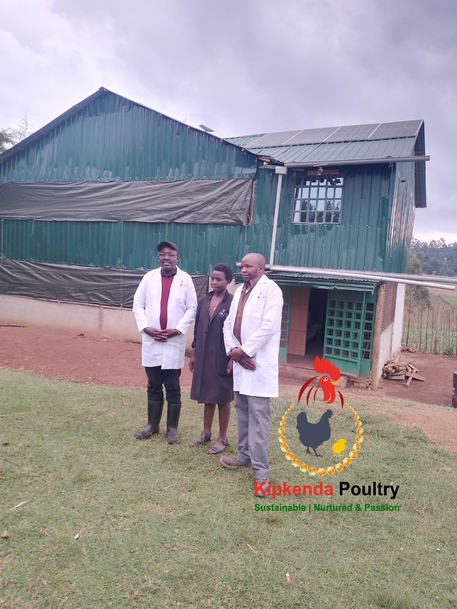 KipkendaPoultry's tweet photo. The first visit to Kipkenda by our Diaspora donor to witness the hardwork done by the team. The Azolla ponds are almost done, part of the Phase 2 @WIDU_africa supported by @SeroneiCheison. We're grateful to https://t.co/E6aHjzfHlU for this support #MadeInNandi https://t.co/c9IhYbe1LV