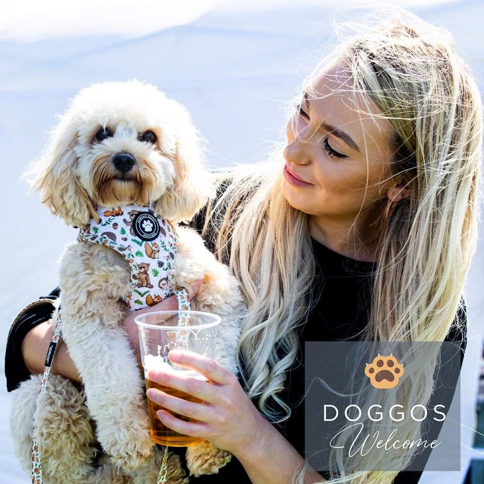 🐶At our upcoming festival, well-behaved dogs are warmly welcome! 
 #worcestershire #cotswolds #visitmalvern #FoodFestival2024 #visithecotswolds #foodies #familydaysout #threecounties #herefordshire #familyfun #threecounties #herefordshire #dogfriendly