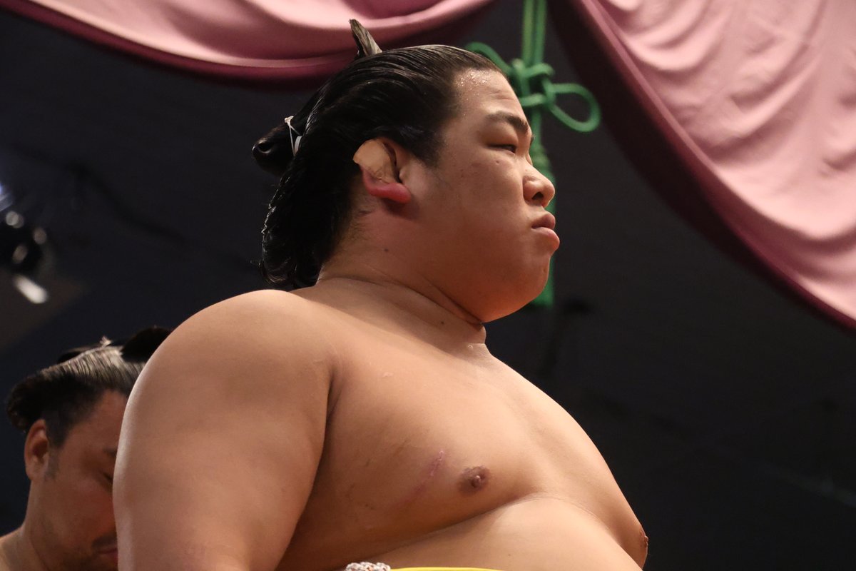 平成31年 大相撲初場所 １月２５日 金曜日（13日目）４人マスC席チケット 西14側【送料無料】 平成２８（２０１６）年１月場所優勝　大関　琴奨菊和弘関 | 大相撲まいにち部屋（大相撲優勝ミニ額販売公式サイト） powered by BASE