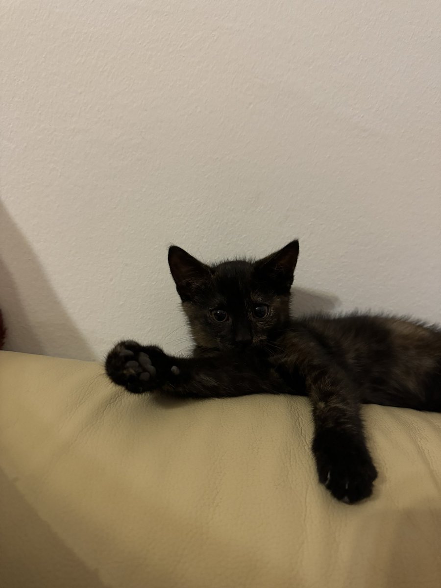 kis szerelmem❤️❤️❤️❤️❤️