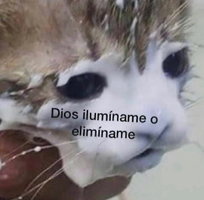 paola IS SEEING BTS ☾⁷ ⦿ ☰ ☲ tweet media