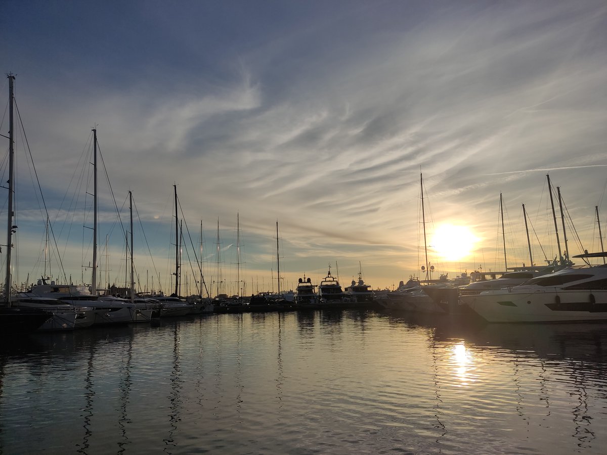 portdemallorca's tweet photo. El sol se despide del día bañando la marina de dorado.
The sun bids farewell to the day, bathing the marina in gold.
#Marinaportmallorca #palmademallorca #turism #magicplaces #sunset https://t.co/0my09Zuciw