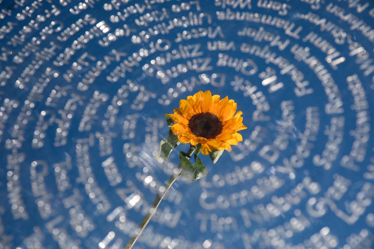 Vandaag herdenken wij de MH17-ramp, waarbij 298 onschuldige levens, waaronder 196 Nederlanders, verloren gingen. Tien jaar later is het verdriet nog steeds intens voelbaar. 1/2