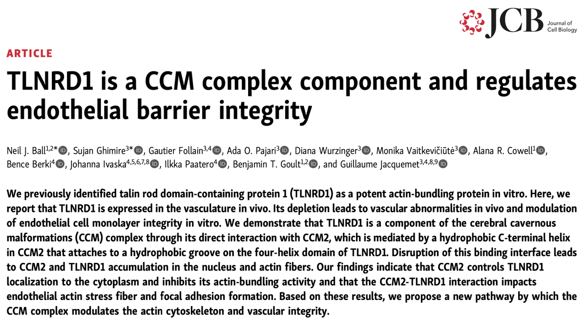 Ben Goult (@bengoult) on Twitter photo Very happy to share our new paper in <a href="/JCellBiol/">Journal of Cell Biology</a>, "TLNRD1 is a CCM complex component and regulates endothelial barrier integrity", great collaboration with @guijacquemet, and well done Neil Ball and <a href="/sujanghm/">Sujan Ghimire 🇳🇵🇫🇮</a> for pushing this to completion <a href="/LivUniISMIB/">Inst of Systems, Molecular & Integrative Biology</a> doi.org/10.1083/jcb.20… Very happy to share our new paper in <a href="/JCellBiol/">Journal of Cell Biology</a>, "TLNRD1 is a CCM complex component and regulates endothelial barrier integrity", great collaboration with @guijacquemet, and well done Neil Ball and <a href="/sujanghm/">Sujan Ghimire 🇳🇵🇫🇮</a> for pushing this to completion <a href="/LivUniISMIB/">Inst of Systems, Molecular & Integrative Biology</a> doi.org/10.1083/jcb.20…