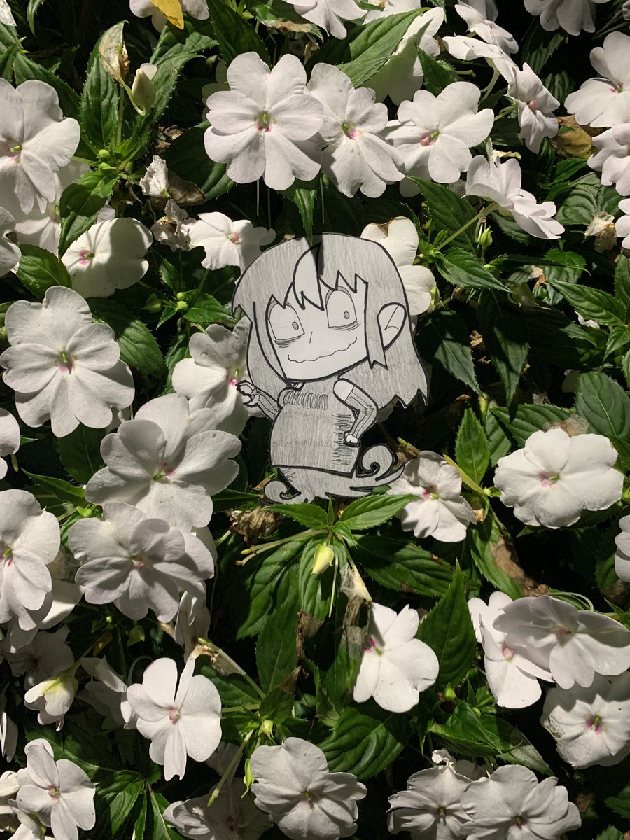 bigdaddyafro's tweet photo. Night Walk Photoshoot!
I got a thing for flowers 🌺 https://t.co/CUWQGk5icL