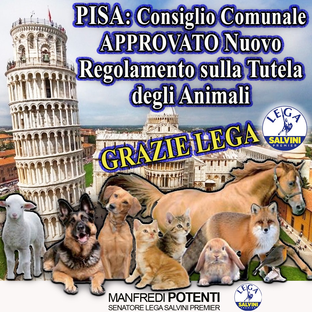 ManfrediPotenti's tweet photo. 🐕 #PISA - #APPROVA IL #REGOLAMENTO SULLA #TUTELA DEGLI #ANIMALI !!
Un grande successo della Lega e dell' Amministrazione in un gioco di squadra che passa dal Sindaco, al Presidente del Consiglio comunale, ai Consiglieri comunali, alle Associazioni.
https://t.co/x93oHKKw52 https://t.co/Wg6Eq3WYOJ