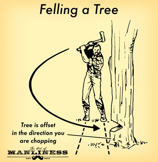 thetankman tweet media