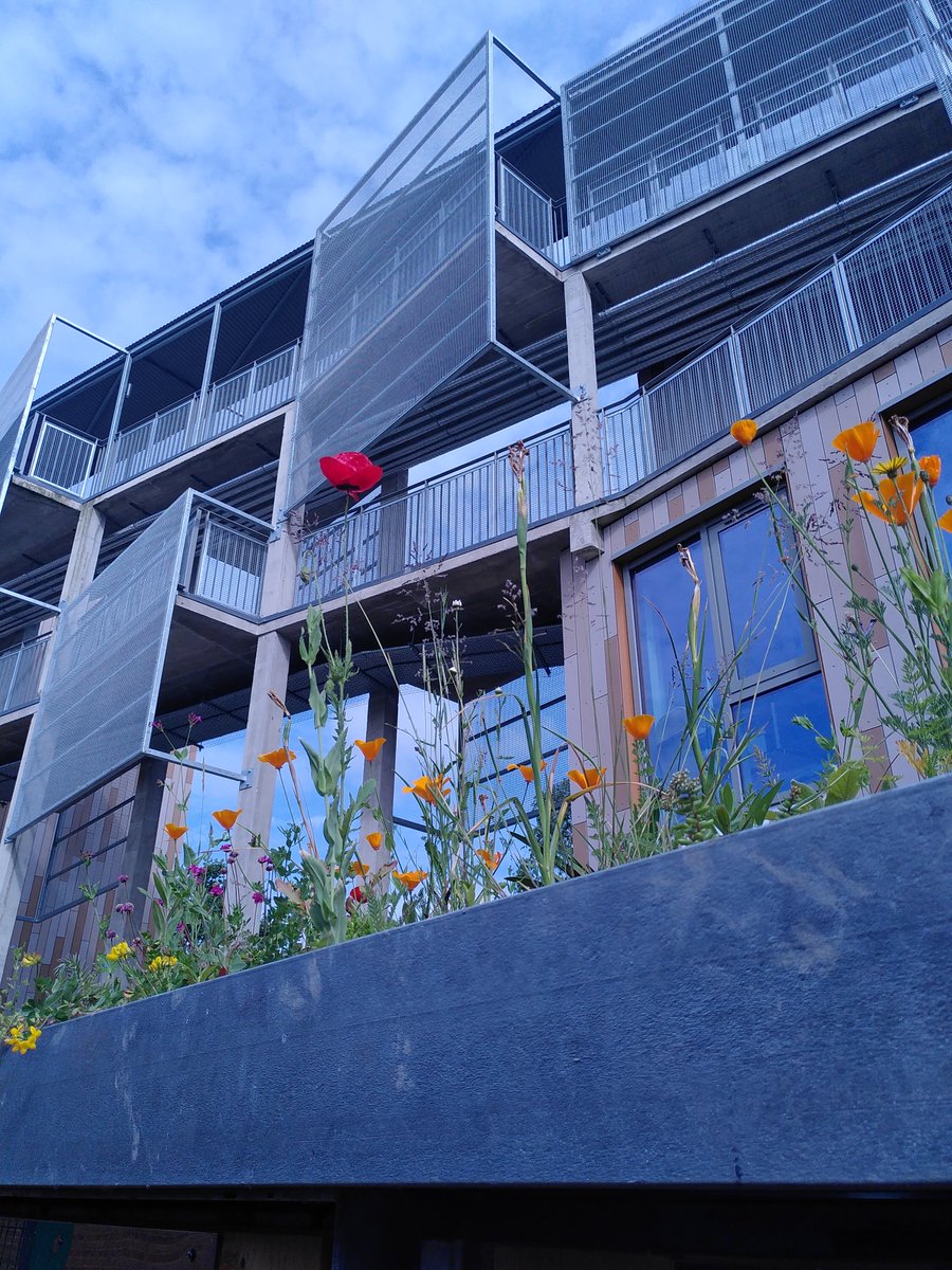 One room now available in a shared flat. #CommunityLedHousing #Ladywell. 
theruss.org/sharer-flats/