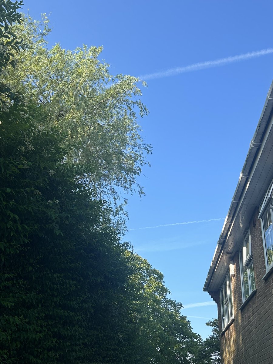 chatswithem's tweet photo. First blue sky day in ages
@UK_CAA
Stripes appearing already 8am
#stopgeoengineering
#stopsolarradiationmanagement
#stopSRM
@ClaireCoutinho @Ed_Miliband https://t.co/wv8xFL11lt