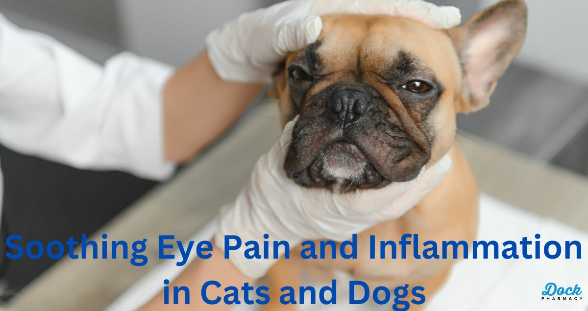 Dock Pharmacy tweet media