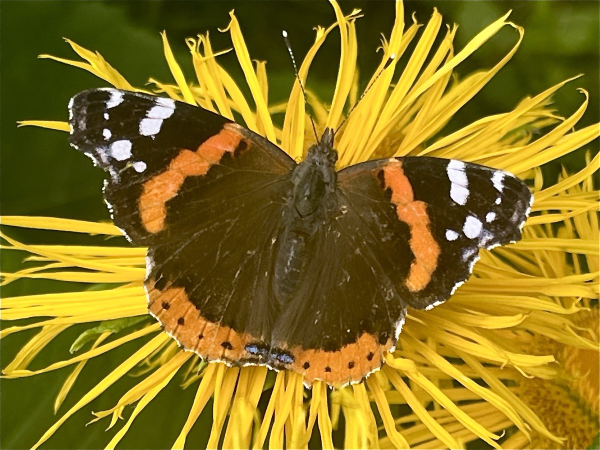 Dagens symmetri❤️