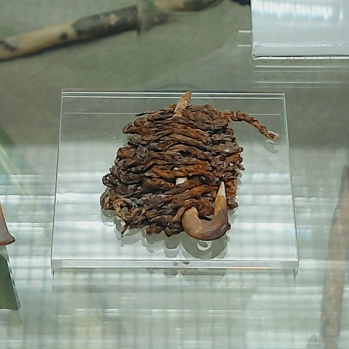 DrNWillburger's tweet photo. #Fishing some 5,300 years ago - an amazing find: a #Neolithic fishhook made of wild boar tusk, wrapped with a fishing line. 

Found in the lake-dwelling settlement of Arbon Bleiche 3, Switzerland.
On display at Archäologisches Museum Frauenfeld

📷 taken by me https://t.co/uvnHIF27rS