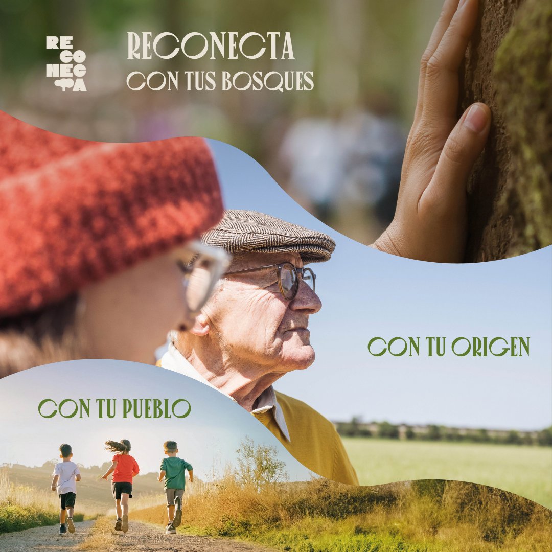 <a href="/FBiodiversidad/">Fundación Biodiversidad</a> <a href="/ASFOSO/">Asociación Forestal de Soria</a> <a href="/aytocuenca/">Ayuntamiento de Cuenca</a> <a href="/CITAAragon/">CITA Aragón</a> <a href="/Selvicultores/">Selvicultores</a> <a href="/FAOForestry/">FAO Forestry</a> <a href="/secforestales/">SECForestales</a> <a href="/propiedadforest/">Propiedad Forestal</a> <a href="/YoungForesters/">iuFOR UVa-INIA</a> @CitaTeruel <a href="/Ingenierias_SO/">Ingenierías Soria-EiFAB</a> <a href="/RevForesta/">Revista Foresta</a> <a href="/naturalezacyl/">Naturaleza Castilla y León</a> <a href="/mitecogob/">Transición Ecológica y Reto Demográfico</a> <a href="/P_Recuperacion/">Plan de Recuperación</a> #Reconecta está coordinado por <a href="/ASFOSO/">Asociación Forestal de Soria</a> y cuenta con la participación del <a href="/aytocuenca/">Ayuntamiento de Cuenca</a>, <a href="/CITAAragon/">CITA Aragón</a> y Global Nature.

Con el apoyo de Fundación Biodiversidad #NextGenerationEU #ProyectosPRTR #PlanDeRecuperación

👉Más info: reconecta.es/arranca-recone…
