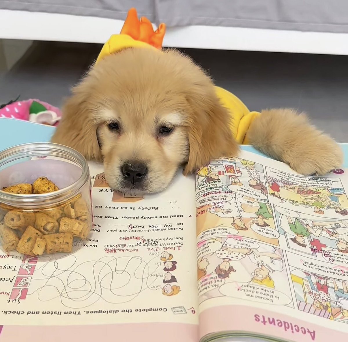 ม่ายมั่ยออก นี่ไม่ชั่ยพาสาม๋าสักกะติ๊ด