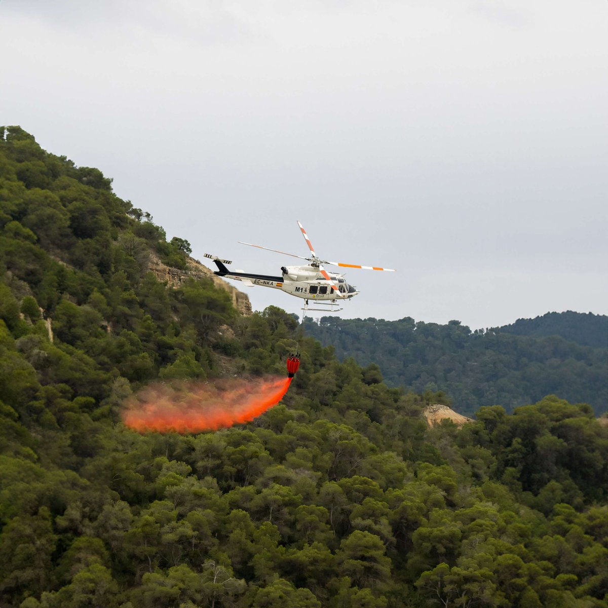 vallfirest tweet media