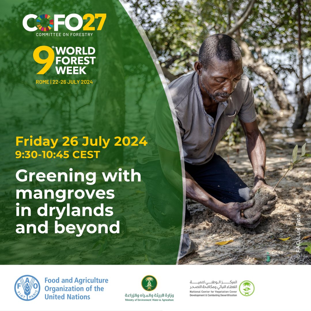📣 Join@FAO <a href="/MEWA_KSA/">وزارة البيئة والمياه والزراعة</a> &amp; <a href="/ncvcksa/">المركز الوطني لتنمية الغطاء النباتي ومكافحة التصحر</a> online for a #WFW9 event! 

Greening with #mangroves in drylands and beyond
 🗓️ Friday 26 July 2024 
⏰ 9:30-10:45 CEST 

🔗 ow.ly/9pJQ50SzL3Q  

#COFO27 #GenerationRestoration
