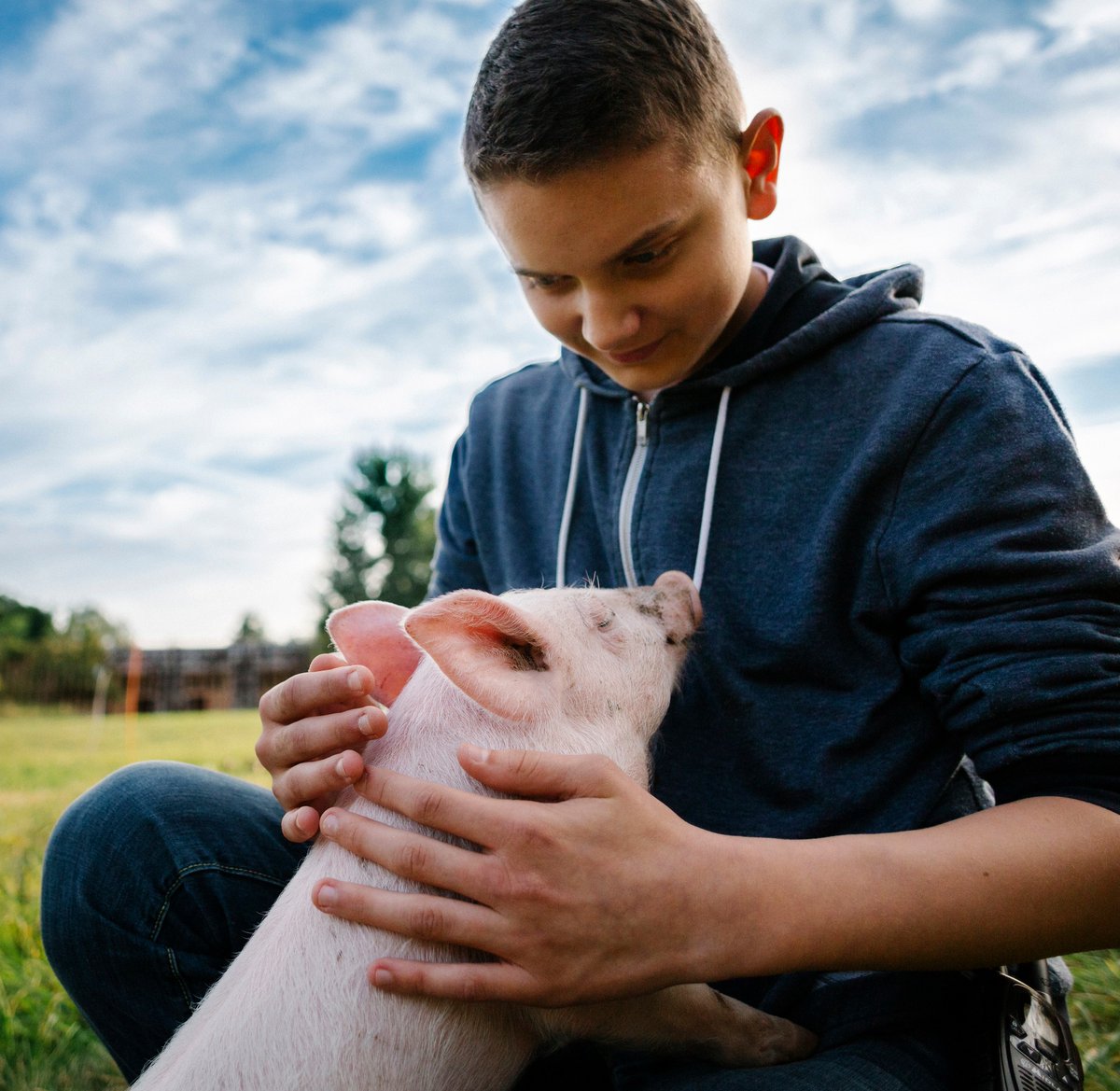 Respekt und Freundschaften zwischen Menschen und Schweinen haben im Fleischproduktionssystem keinen Platz. Aber anderen Orten: Happy Birthday, Anni! ❤
Kein „Mast“-#Schwein wird acht Jahre alt. Es sei denn, es wird gerettet - so wie Anni.➡️ land-der-tiere.de/anni-geburtsta…
