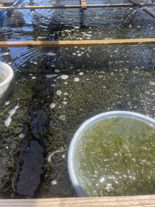 思い出。w https://t.co/cuYmitDotk