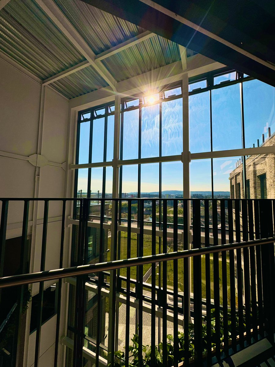 D11kim's tweet photo. What a beautiful day! And even better to see the sun with his hat on shining right through the #BohoX atrium @DoubleElevenLtd!!! Happy hump day!!! ☀️ https://t.co/3rjhsAmVuR