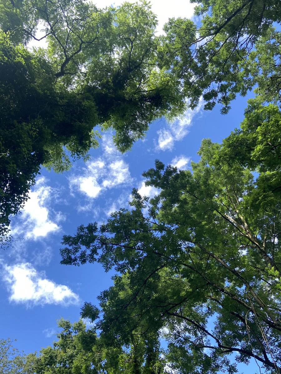 FFabTravel's tweet photo. La tête dans les nuages  #travel #nature #rando #geocatching #sunny #peace #free #sky https://t.co/JYaGxtuUeW