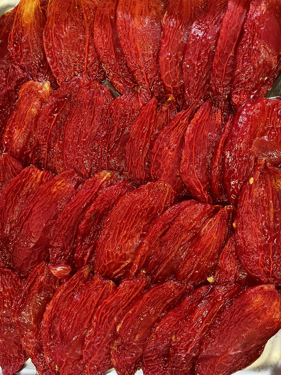 ドライトマトの絨毯🍅