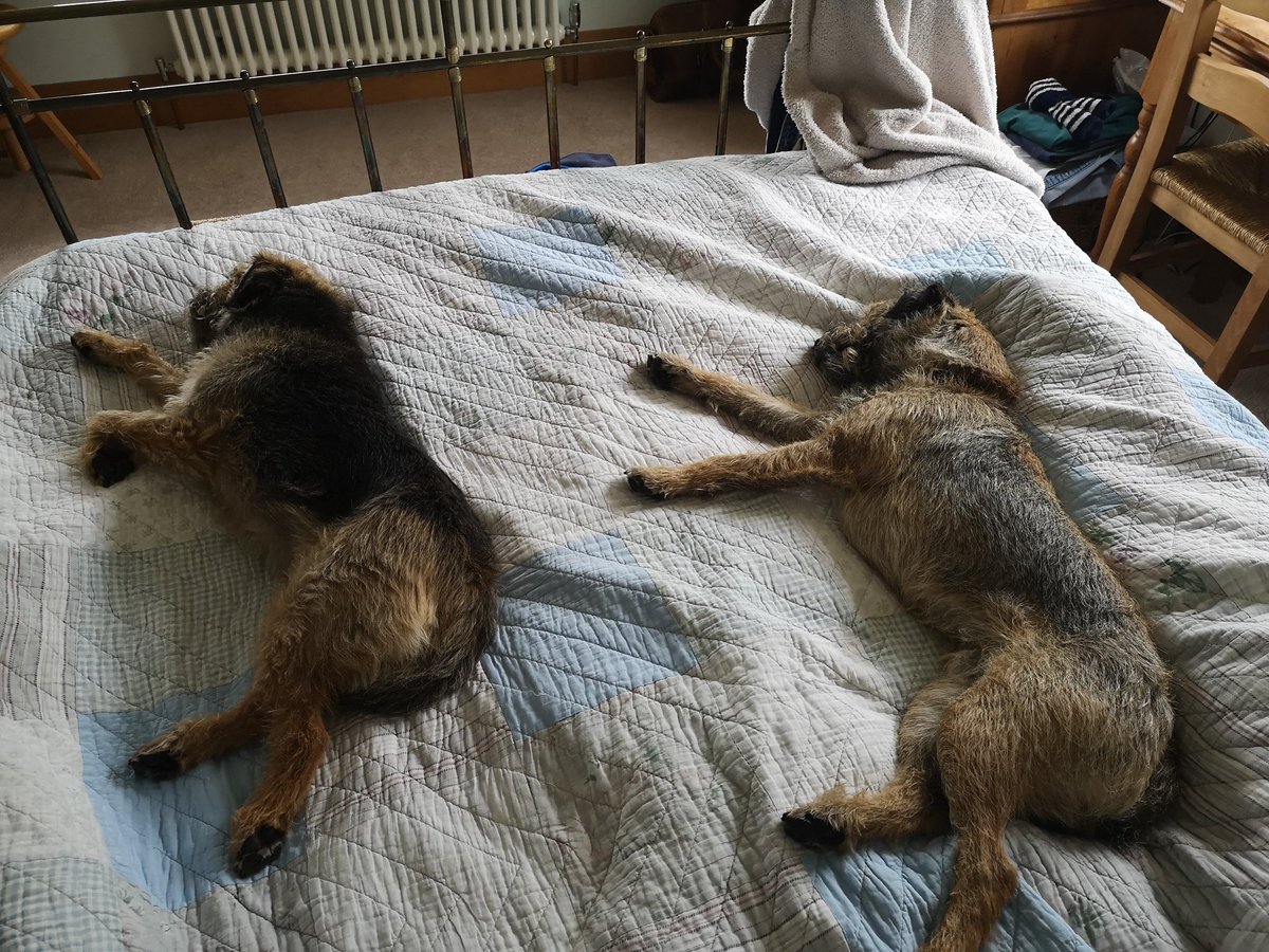 Lodging IP for evolution of Pass The Pigs.... This will be garden version, Pass The Pups...