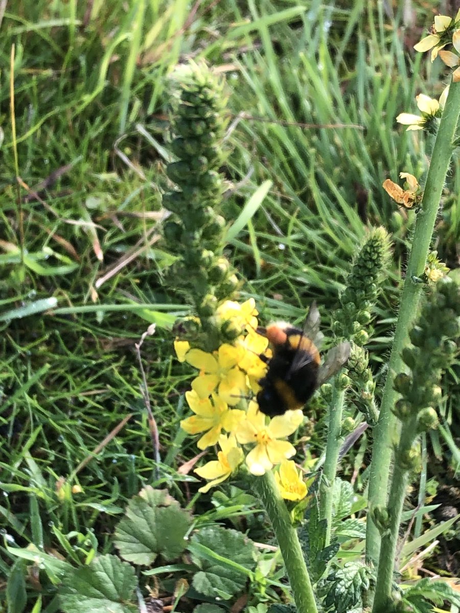 Ian Edwards tweet media