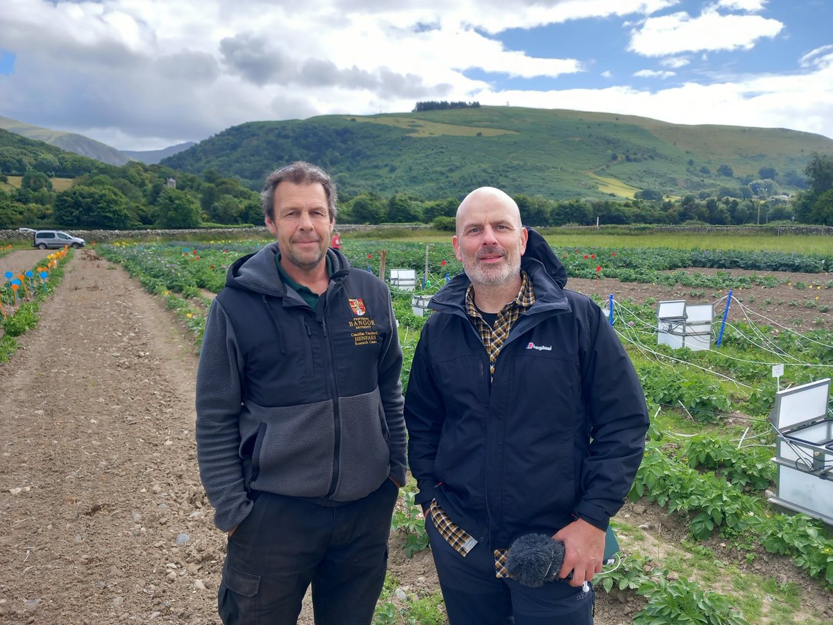 Prysor Williams tweet media