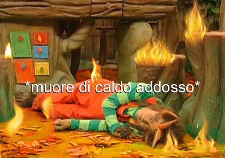 v. 🍉 tweet media