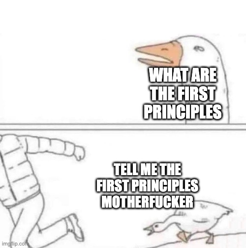 When someone tells me to use first principles thinking