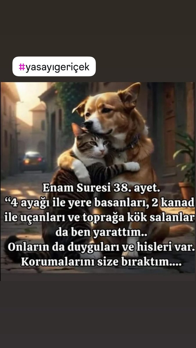 kusta_grl's tweet photo. #KatliamaHayır
 #YasayıGeriÇek https://t.co/l4NTetjeiy