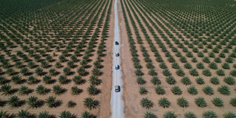 باستخدام أحدث التقنيات.. مزرعةُ رحب بشليم وجزر الحلانيات تسهم في تعزيز الأمن الغذائي
2u.pw/Q6Kcjujp

#العُمانية 
#نشرة_المحافظات