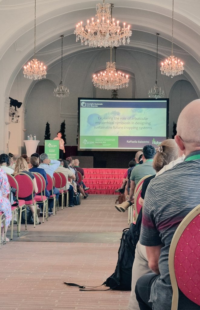 Great to hear <a href="/RaffaellaBalest/">Raffaella Balestrini</a>  talking about mycorrhizal in cropping systems. At <a href="/miCROPe_org/">miCROPe</a>  #miCROPe2024 #micrope2024