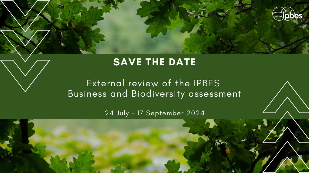 📢 SAVE THE DATE 📢

Participate in the ONLY External Review of the <a href="/IPBES/">ipbes</a> Business &amp; Biodiversity Assessment!

📆 When? 24 July - 17 September

🤔Why participate?

Help drive sustainable &amp; #biodiversity-supporting business practices

Stay tuned ⤵️

ipbes.net/business-impac…