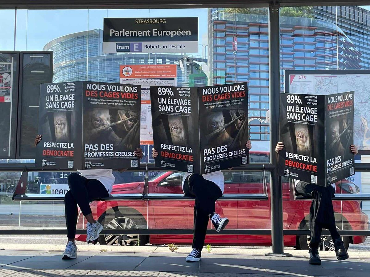 CIWF France tweet media