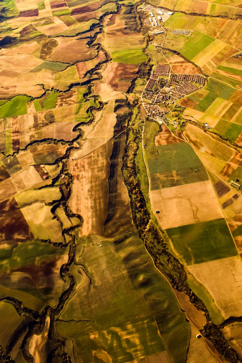 GM

Earth Arteries
#NFTPhotography