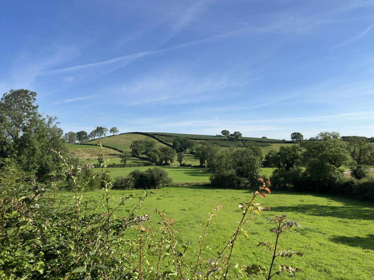 PicturskewPhoto's tweet photo. Out in the countryside this morning. #Dromara @WeatherCee @angie_weather @barrabest @LoveBallymena @annlizkelly @GillMid1 https://t.co/GZUCEnbL45