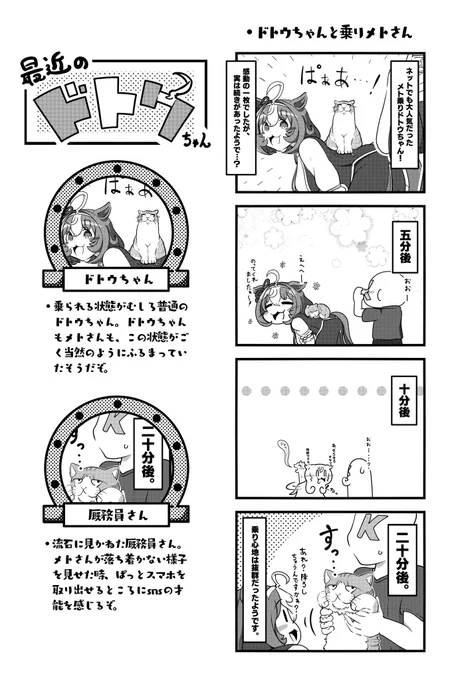 ドトウちゃんにメト(猫)さんが乗った!その後のお話。 