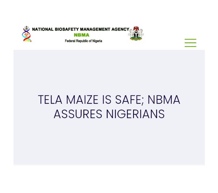 BiotechnologyTZ's tweet photo. 🌱Get insights on the safety of TELA maize,  approved recently by the Nigerian Government as explained by the NBMA.
Details on :https://t.co/U4rZmXFtdD

#TELAmaize #Foodsafety https://t.co/3xhEPabiNS