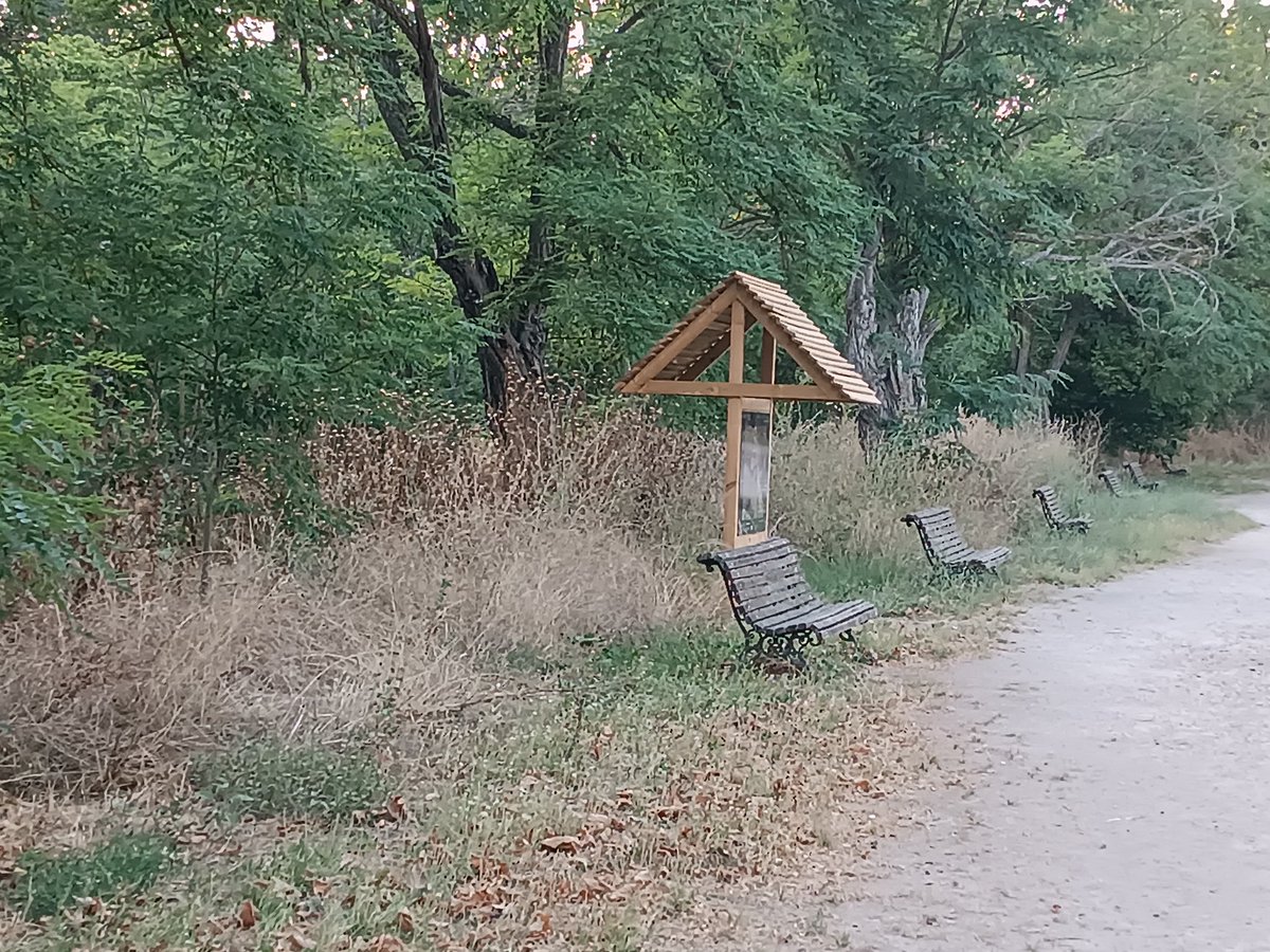 AV de El Pardo tweet media